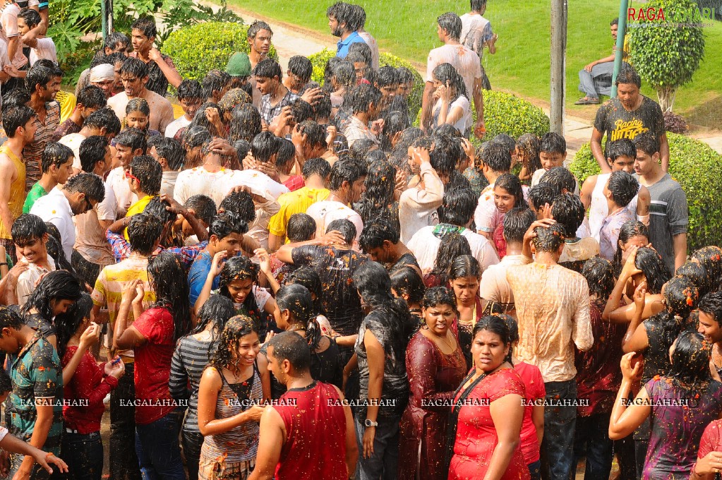 La Tomatina 2011, Hyd