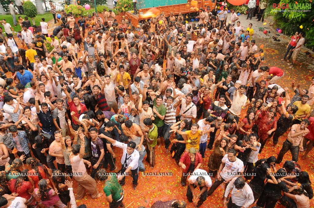 La Tomatina 2011, Hyd