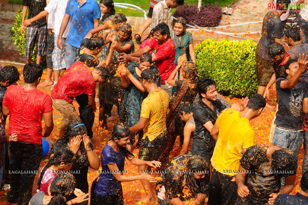 La Tomatina 2011, Hyd