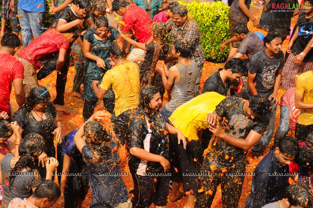 La Tomatina 2011, Hyd