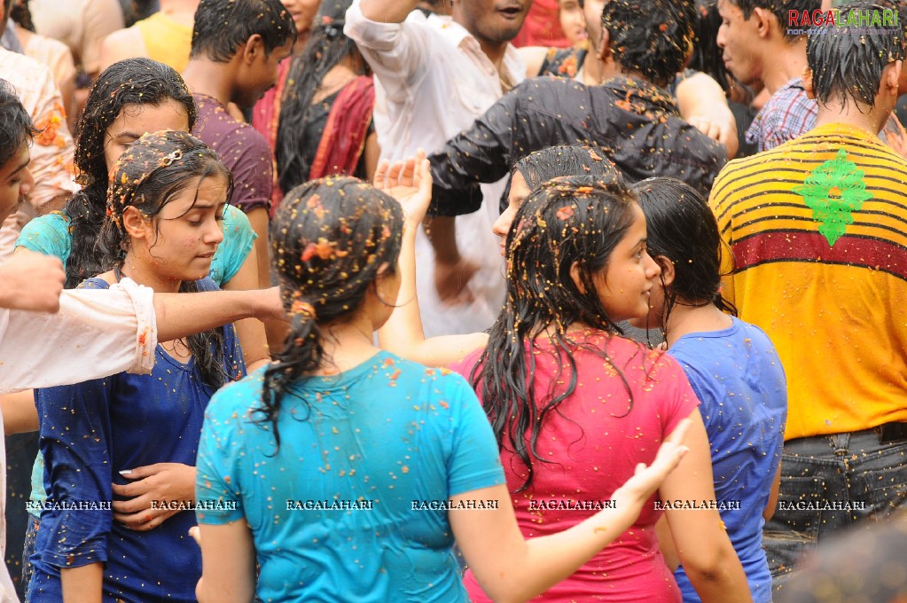 La Tomatina 2011, Hyd