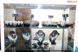 Naina USA 2011 Designer Diamond Jewellery Exhibition