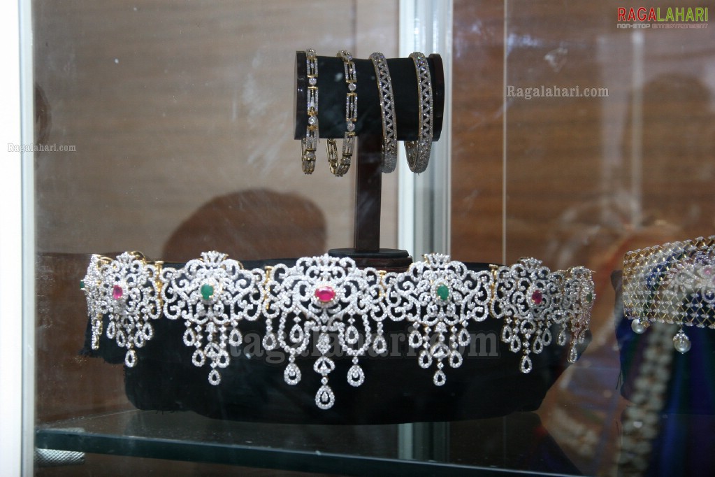 Naina USA 2011 Designer Diamond Jewellery Expo