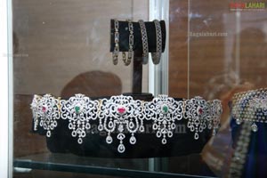 Naina USA 2011 Designer Diamond Jewellery Exhibition