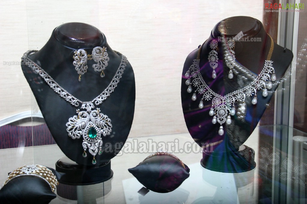 Naina USA 2011 Designer Diamond Jewellery Expo