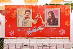 Poolarangadu Muhurat