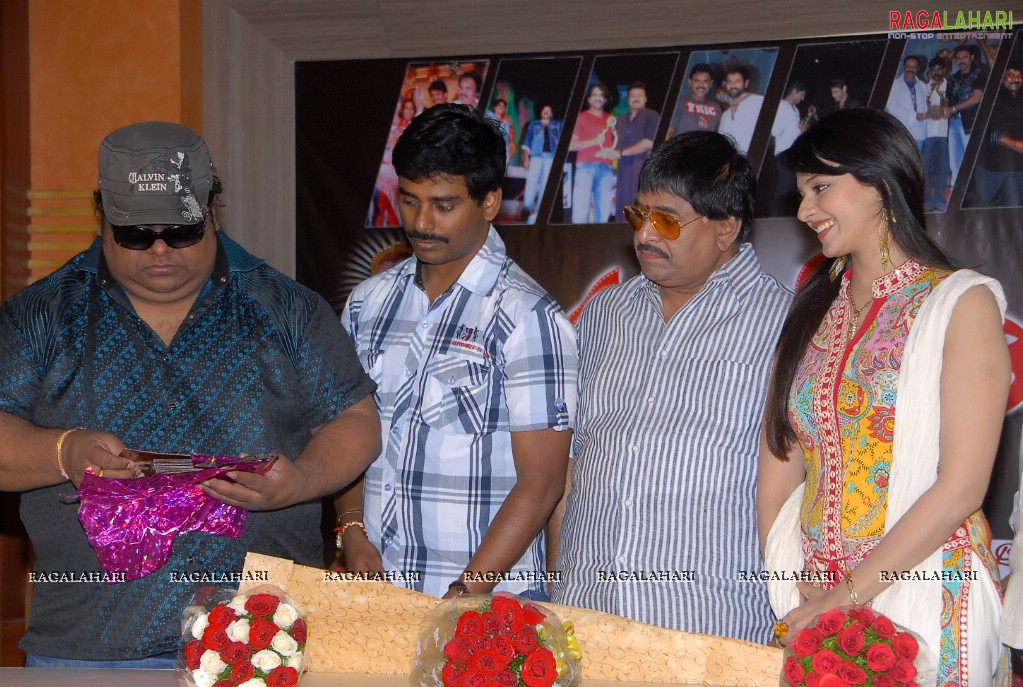 Santosham 9th Anniversary Film Awards 2010 Press Meet