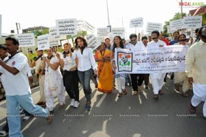 Tollywood Film Industry Support For Anna Hazare