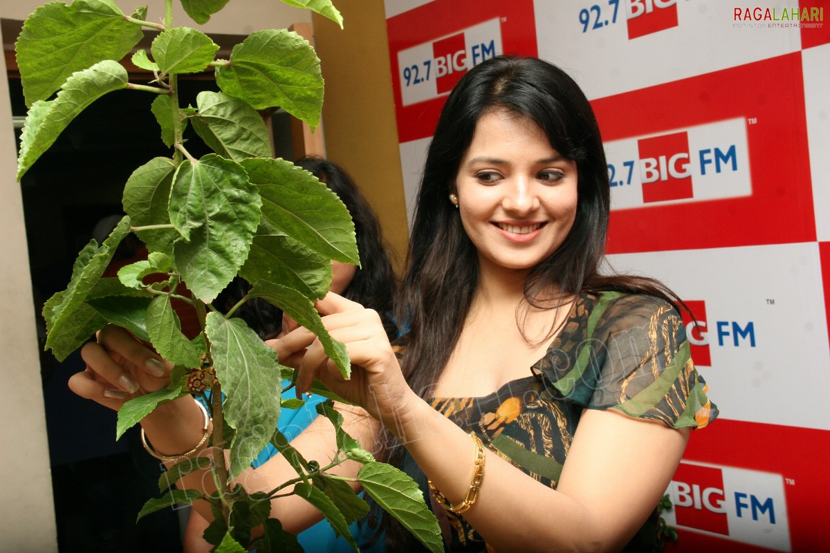 Tie a Rakhi to a Tree - Pollution Free Campaign by Big FM