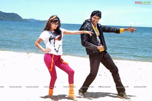 Allari Naresh, Sneha Ullal