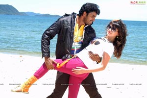 Allari Naresh, Sneha Ullal