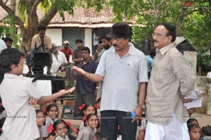 Mister Rascal Working Stills