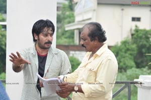 Mister Rascal Working Stills