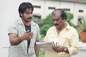 Mister Rascal Working Stills