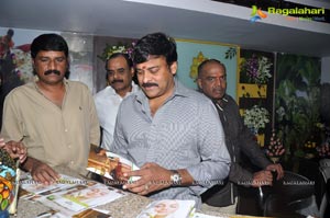 Chiranjeevi Launches Hyderabad Kairali Health Spa