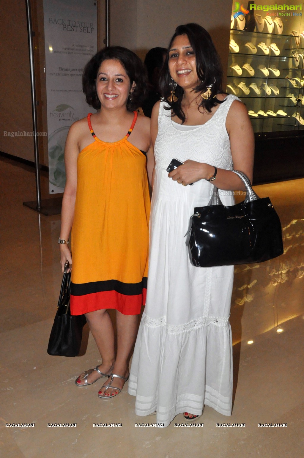 Diana Hayden at The Westin for 'Heal a Child' Event