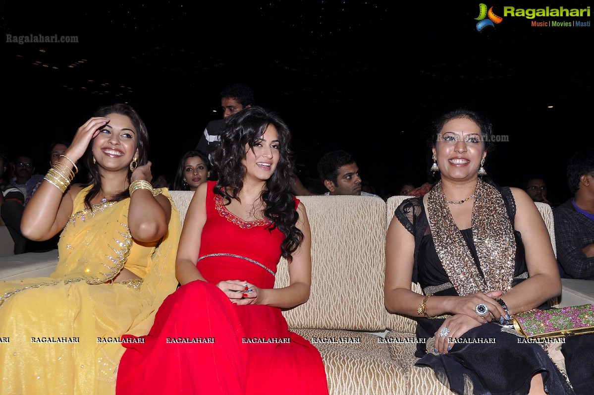 Santosham South Indian Film Awards 2011 (Set 3)