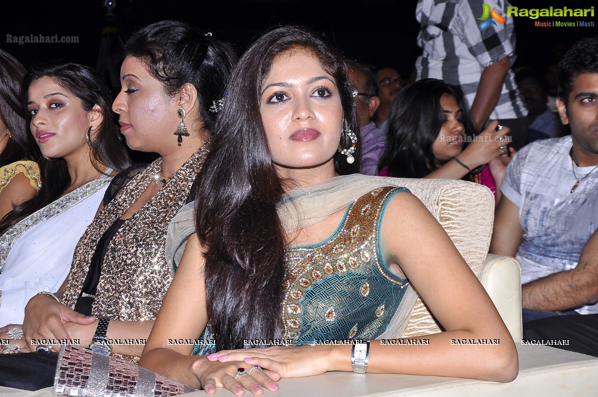 Santosham South Indian Film Awards 2011 (Set 3)