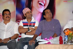 Julayi Double Platinum Disc Function