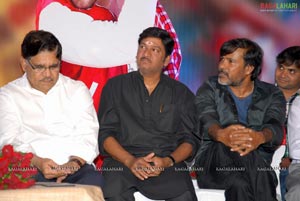 Julayi Double Platinum Disc Function