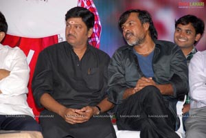 Julayi Double Platinum Disc Function