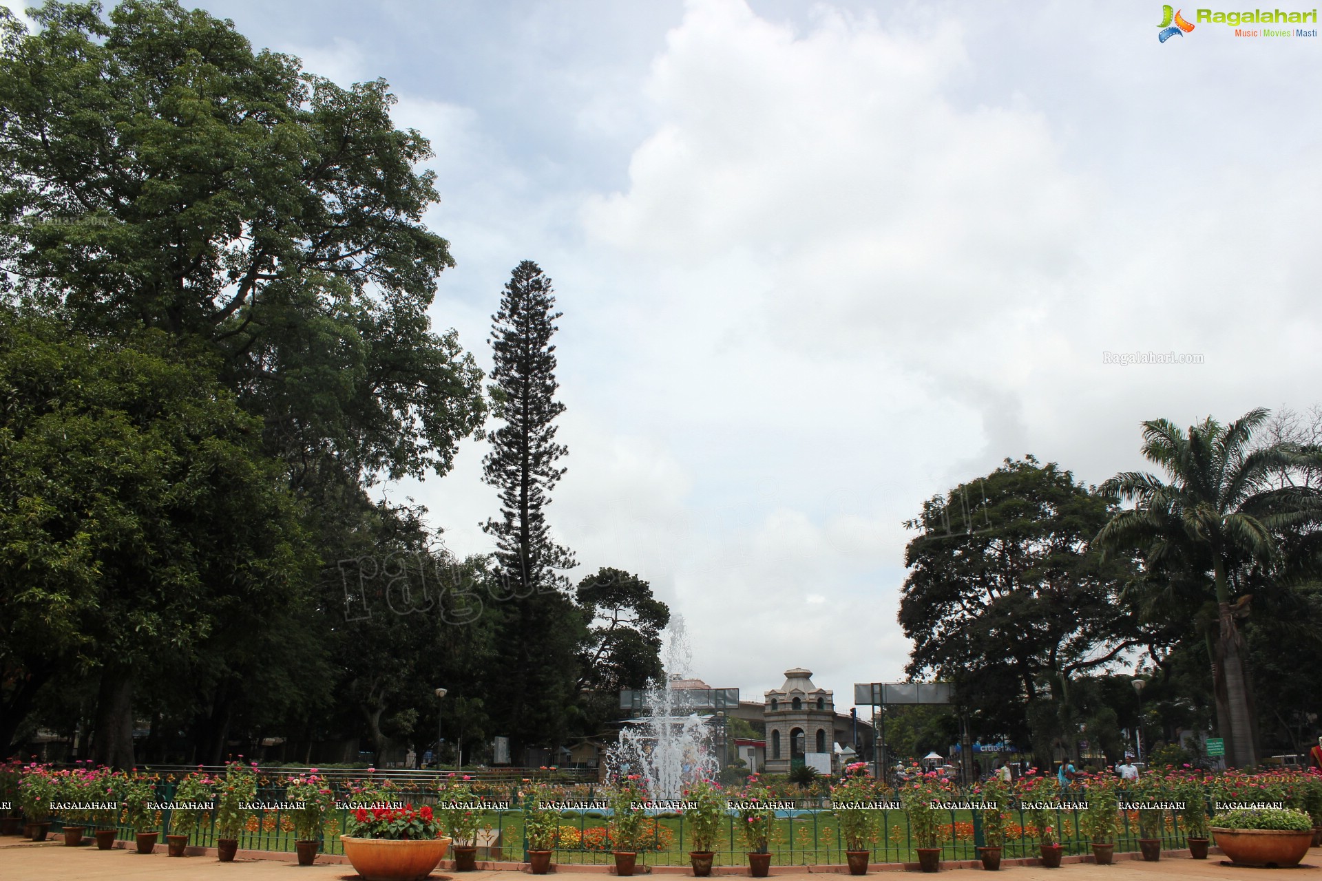 Lal Bagh Independence Day Flower Show (2012)