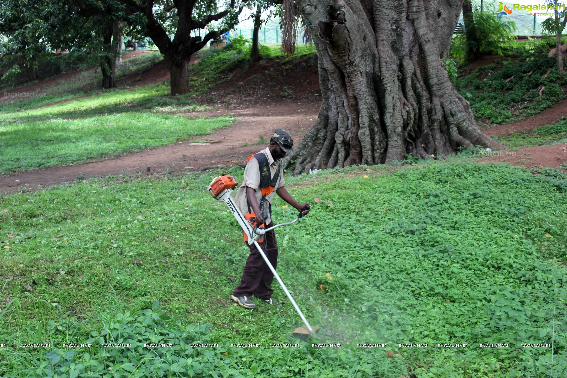 Lal Bagh Independence Day Flower Show (2012)