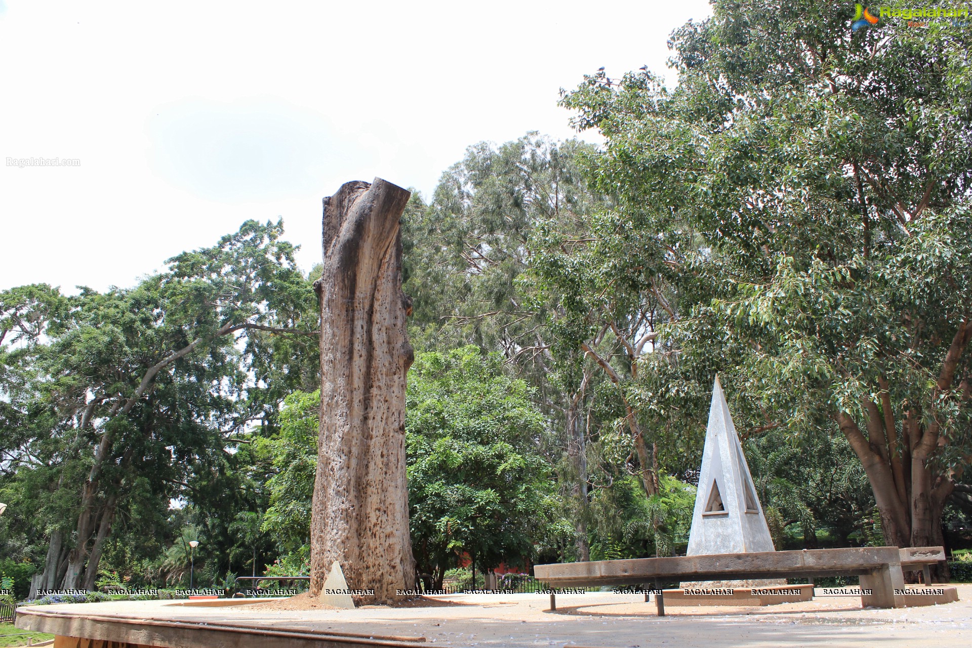 Lal Bagh Independence Day Flower Show (2012)