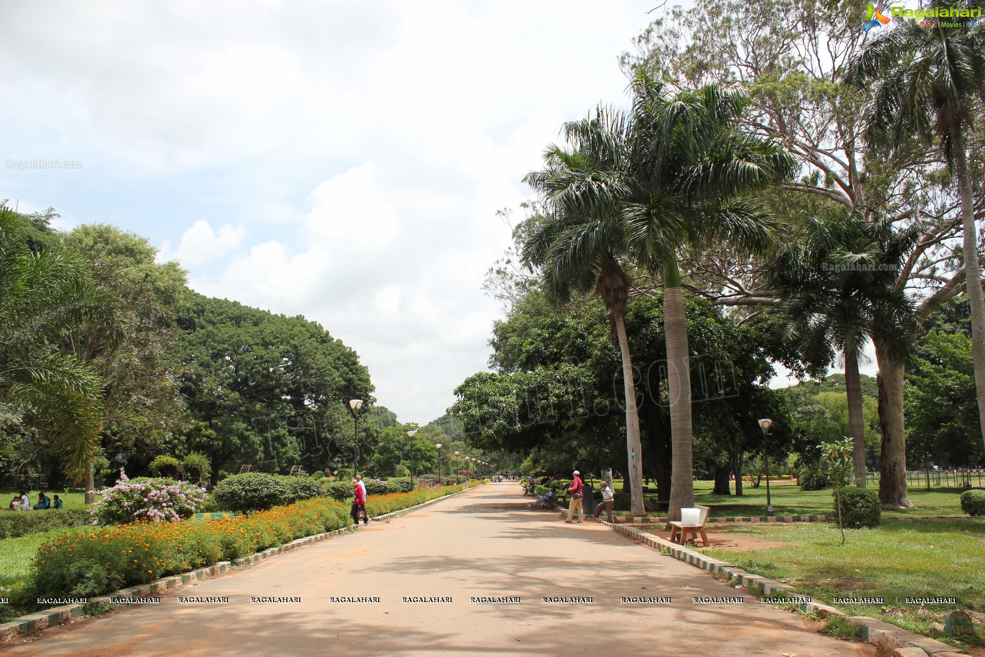 Lal Bagh Independence Day Flower Show (2012)