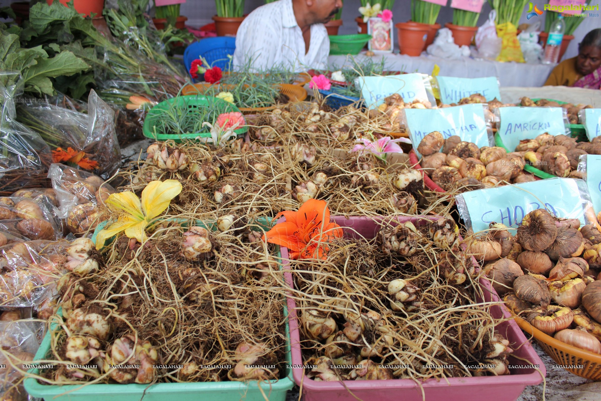 Lal Bagh Independence Day Flower Show (2012)