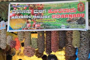 Lal Bagh Independence Day 2012 Flower Show