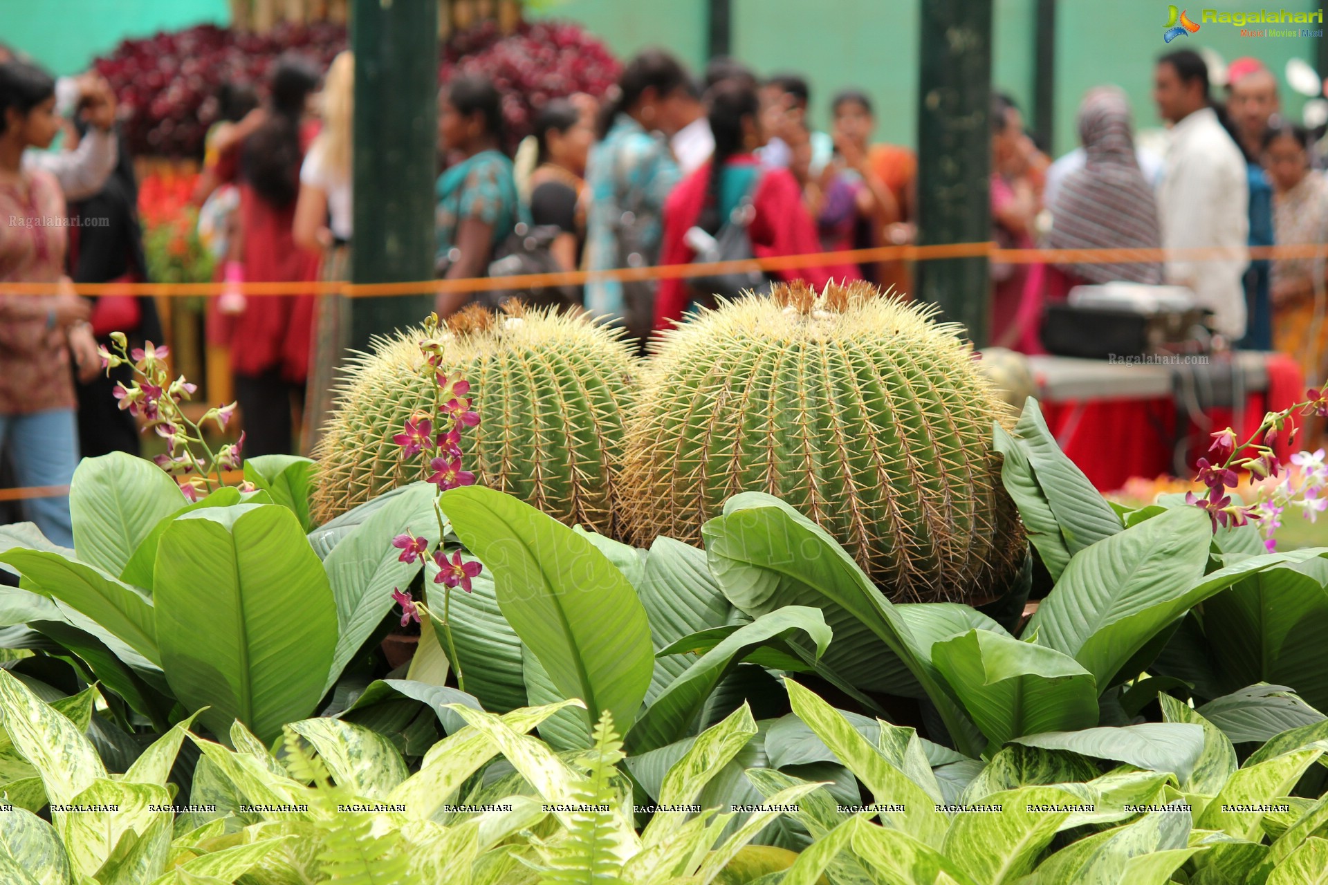 Lal Bagh Independence Day Flower Show (2012)