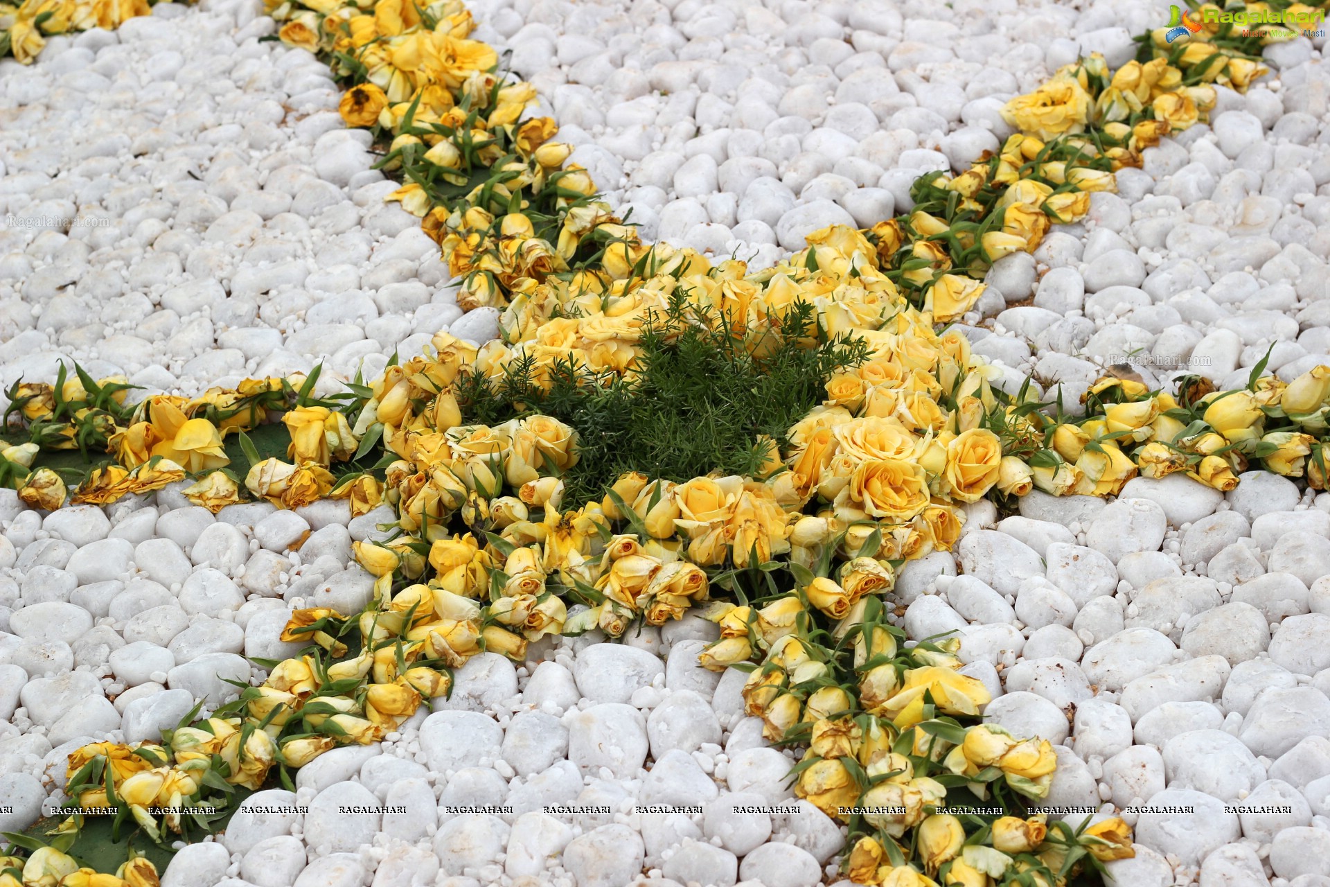 Lal Bagh Independence Day Flower Show (2012)