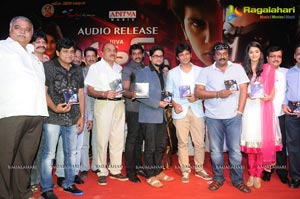 Jiiva Mask Telugu Audio Release