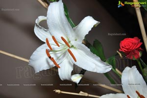 Ohara School of Ikebana Silver Jubilee