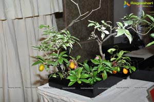 Ohara School of Ikebana Silver Jubilee