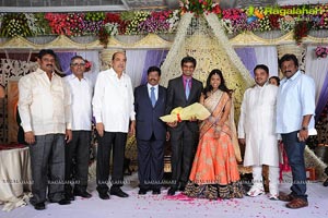 Phanibabu-Snigdha Wedding Reception Photos