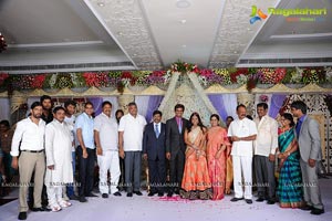 Phanibabu-Snigdha Wedding Reception Photos