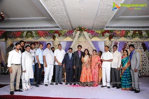 Phanibabu-Snigdha Wedding Reception Photos