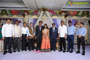 Phanibabu-Snigdha Wedding Reception Photos