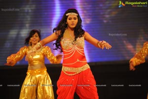 Santosham South Indian Film Awards 2012