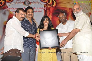 Nagarjuna Shirdi Sai Audio Success Meet