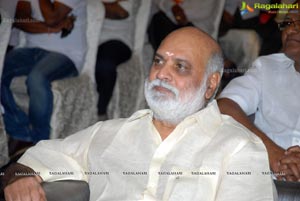 Nagarjuna Shirdi Sai Audio Success Meet