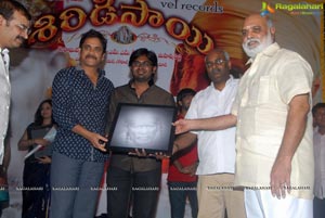 Nagarjuna Shirdi Sai Audio Success Meet