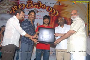 Nagarjuna Shirdi Sai Audio Success Meet