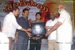 Nagarjuna Shirdi Sai Audio Success Meet