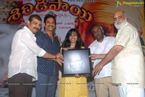 Nagarjuna Shirdi Sai Audio Success Meet