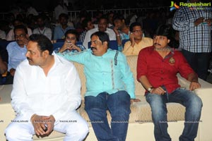 Yellow Flowers and RR Movie Makers Srimannarayana Audio Release Function