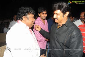 Yellow Flowers and RR Movie Makers Srimannarayana Audio Release Function