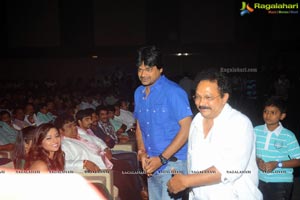 Yellow Flowers and RR Movie Makers Srimannarayana Audio Release Function